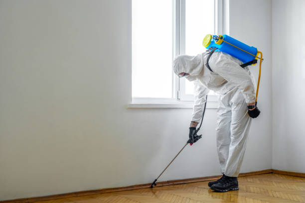 Professional Pest Control in Cleveland, FL