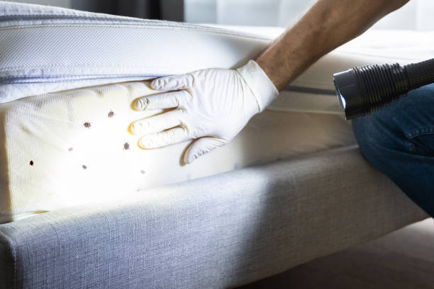 Best Pest Removal Services  in Cleveland, FL