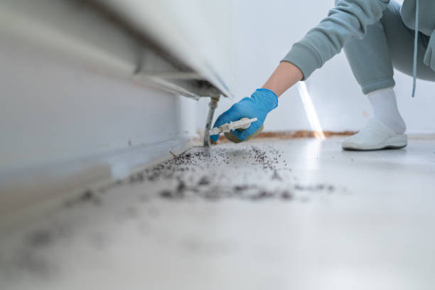 Best Best Pest Control Companies  in Cleveland, FL
